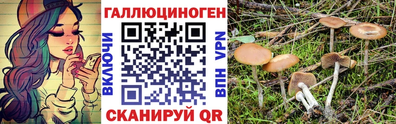 купить наркотик  Болотное  Псилоцибиновые грибы GOLDEN TEACHER 